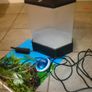 Aquarium Fish tank small with equipment included Image 3