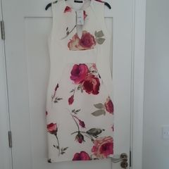 ladies dress