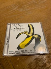 The Velvets Revolution (15 Bands Inspired By The Velvet Underground)