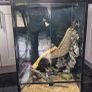 Fish tank and big lizard tank Image 3