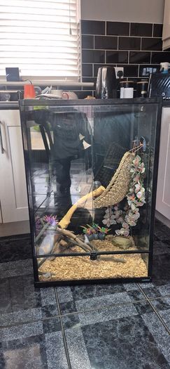 Fish tank and big lizard tank