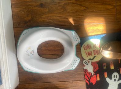 childs potty and toilet seat