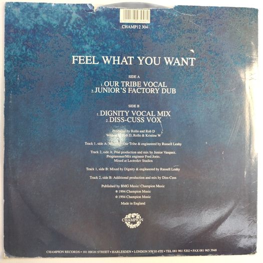 Kristine W - Feel What You Want - Champion Records - 90s VOCAL House BANGER!!