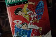 Manga Vizion ! Issue #10 ! 1995 ! by VIZ ! Japan ! Anime ! Manga !
