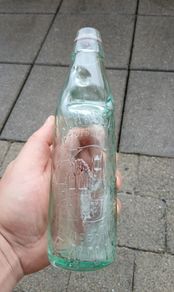 C. J. Hassett Ennis cod neck bottle