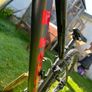 Trek Marlin 5 gen 3 mountain bike Image 7