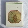 THE WORLD OF FOSSILS (Vittorio de Zanche & Paolo Mietto) - a Sampson Low Guides hardback book (1979) Image 2