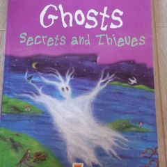Ghosts Secrets & Thieves 6Th Class Antholology printed 2007