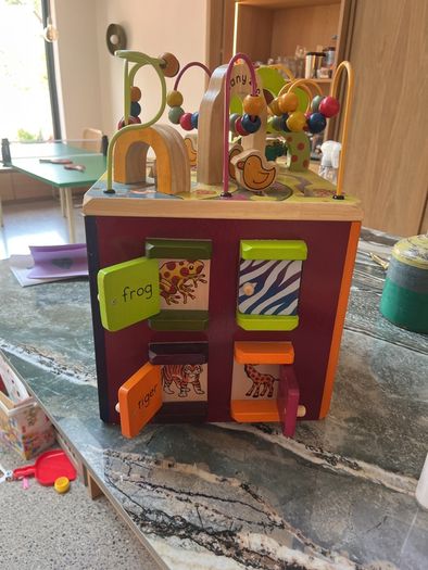 Zany Zoo activity cube