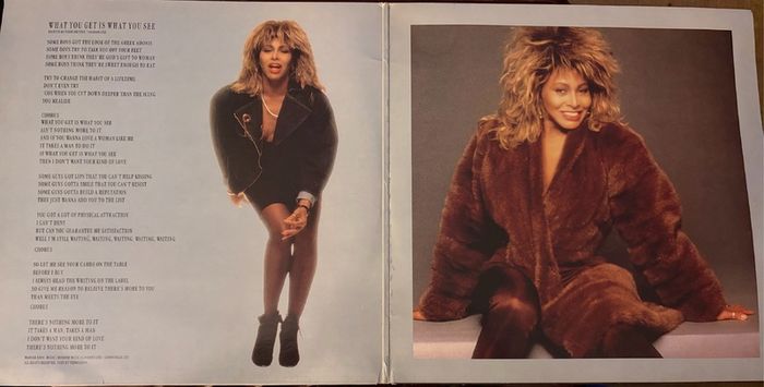 Tina Turner What You Get Is What You See 1987 Limited Edition Double 12 inch Vinyl