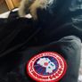 Canada Goose Jacket Image 2