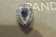 Pandora charm