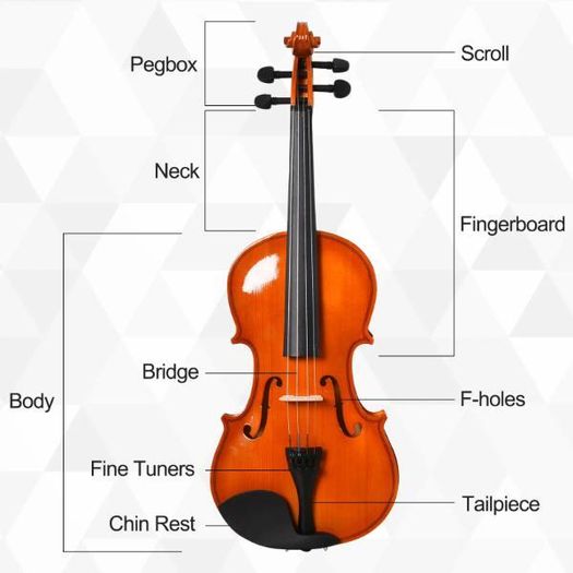 4/4 Full Size Violin Set - Orange