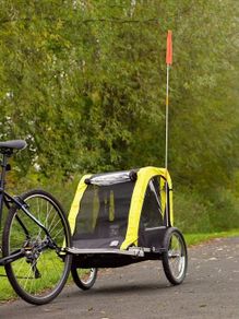 Double Child Bike Trailer | 2 Seat | Excellent Condition