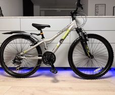 Ridgeback MX Terrain Kids Bike 24 inch