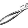 Dental Extracting Forceps Image 2
