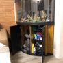 Juwel trigon corner fish tank 200l. Image 2