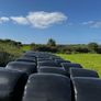 Hay/haylage Image 4
