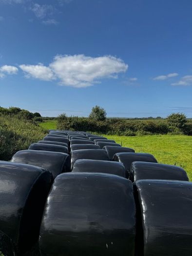 Hay/haylage