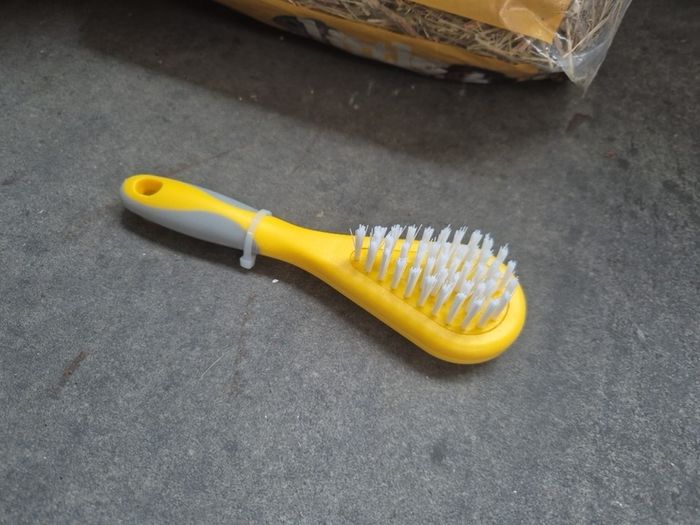 Hay for rabbits/ guinea pigs & grooming brush