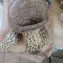 Turtle Teddy Bear Image 3