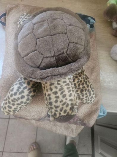 Turtle Teddy Bear