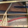 Grand Piano Boston (2006) Image 8