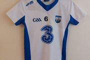 waterford gaa jersey