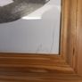 Cat picture Image 5