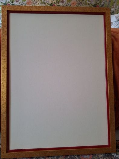 Double Picture Frame  56cms x 74cms