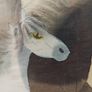 Vintage Framed Horses Image 3
