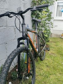 mens bike