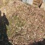 Wood Chips Image 2
