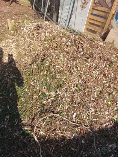 Wood Chips