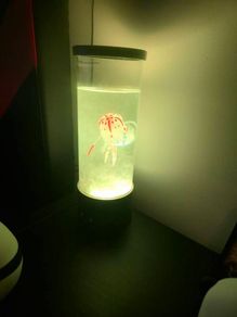 Toys lamp