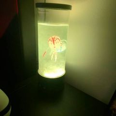 Toys lamp