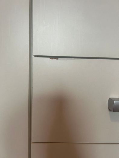 Large wardrobe