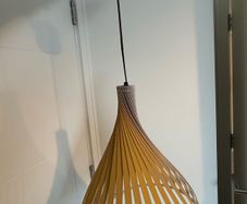 Ceiling Lights