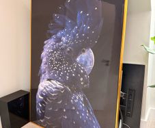 Large Bird Artwork