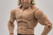 WWE Elite Ric Flair (Four Horsemen) Wrestling Figure WCW