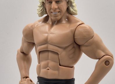 WWE Ric Flair Elite (Four Horsemen) Wrestling Figure