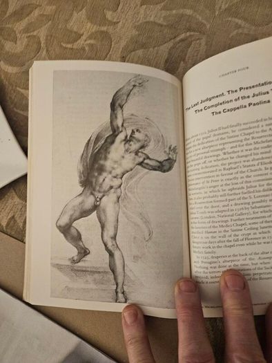 Michelangelo By Linda Murray. With 161 Illusions 20 In Colour. Paperback In Good Condition.  See Photos For Same.