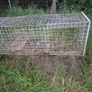 fox trap heavy duty Image 3