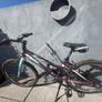 Girls bike Image 2