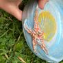 Hand building sculptural  artist Olena Dvoretska Ceramic Bowl with Shell Motif Image 8