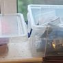 Bundle of Electronic Components Image 7