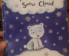 The Polar Bear and the Snow Cloud Children's book