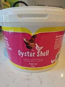 Oyster shell pieces for poultry