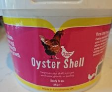 Oyster shell pieces for poultry