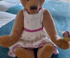 Teddy Bear